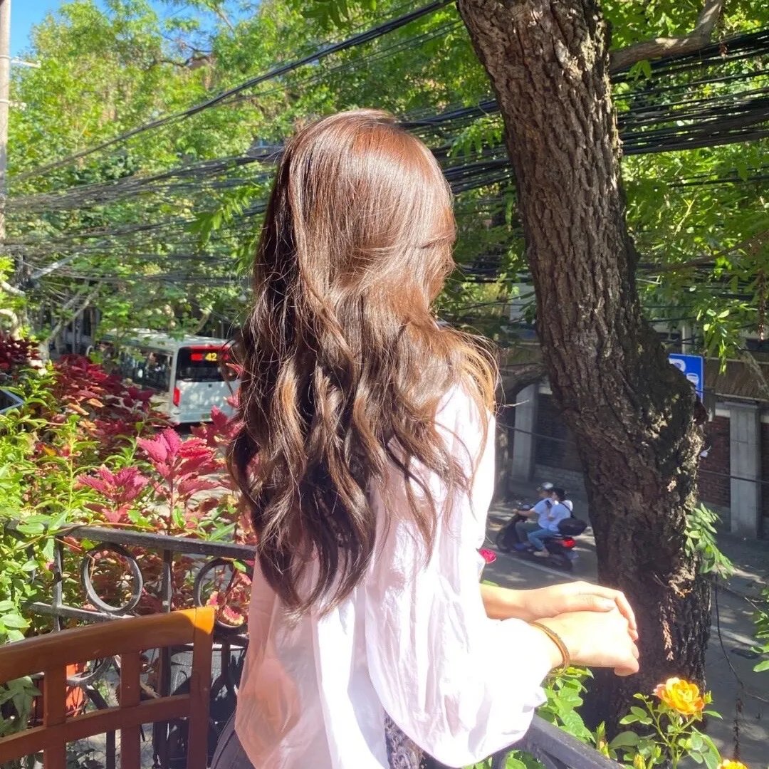 山茶花飘零